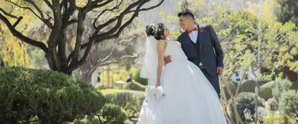 Fissure in Sandstone